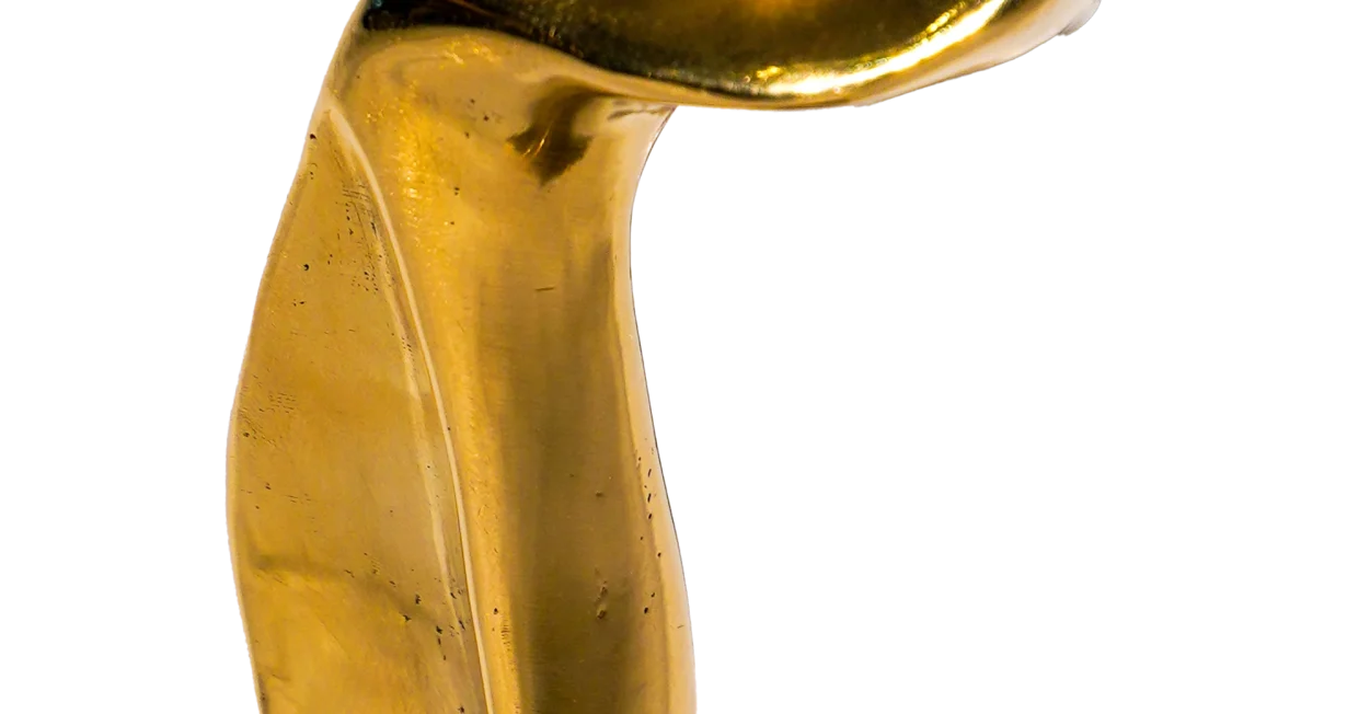 Suspension I - Cast Resin / Bronze
